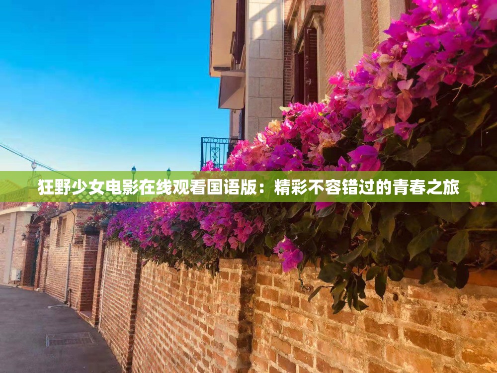 狂野少女电影在线观看国语版：精彩不容错过的青春之旅