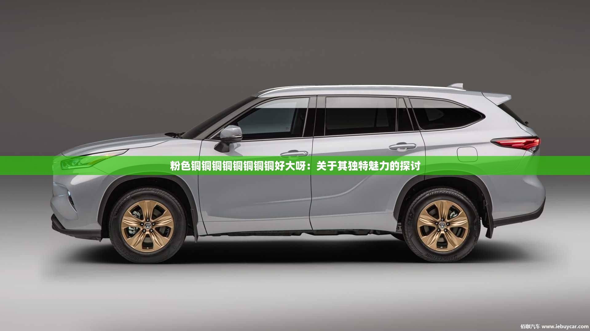 粉色铜铜铜铜铜铜铜铜好大呀：关于其独特魅力的探讨