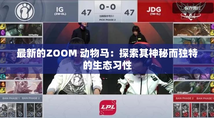 最新的ZOOM 动物马：探索其神秘而独特的生态习性