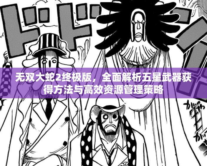 无双大蛇2终极版，全面解析五星武器获得方法与高效资源管理策略