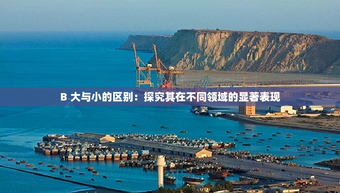 B 大与小的区别：探究其在不同领域的显著表现