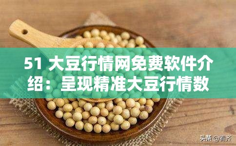 51 大豆行情网免费软件介绍：呈现精准大豆行情数据