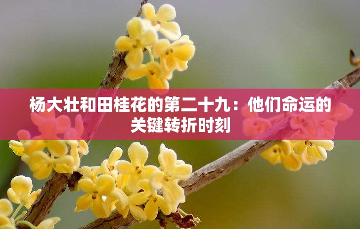杨大壮和田桂花的第二十九：他们命运的关键转折时刻