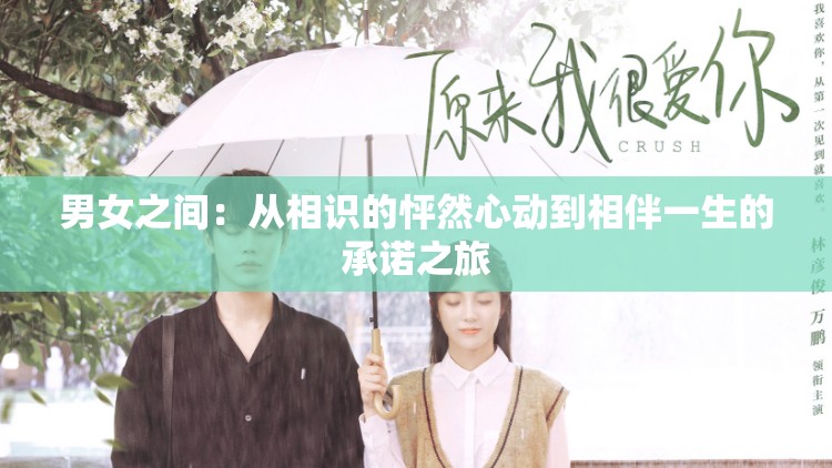男女之间：从相识的怦然心动到相伴一生的承诺之旅