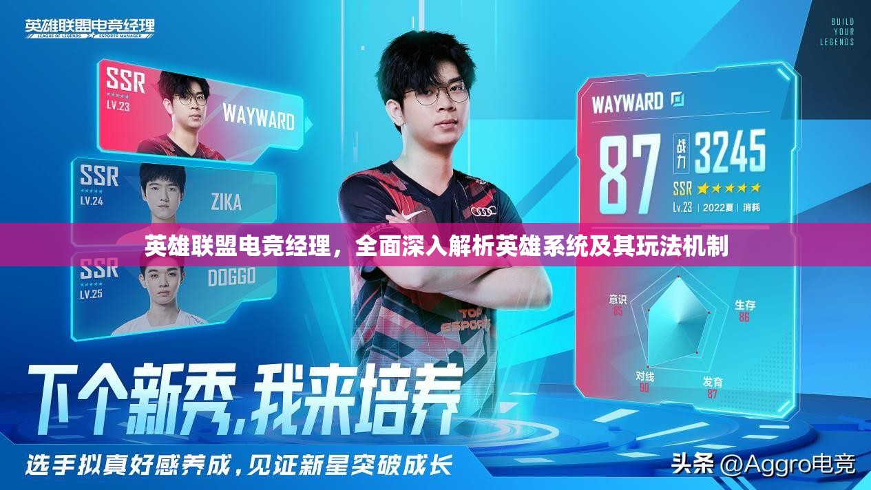 英雄联盟电竞经理，全面深入解析英雄系统及其玩法机制