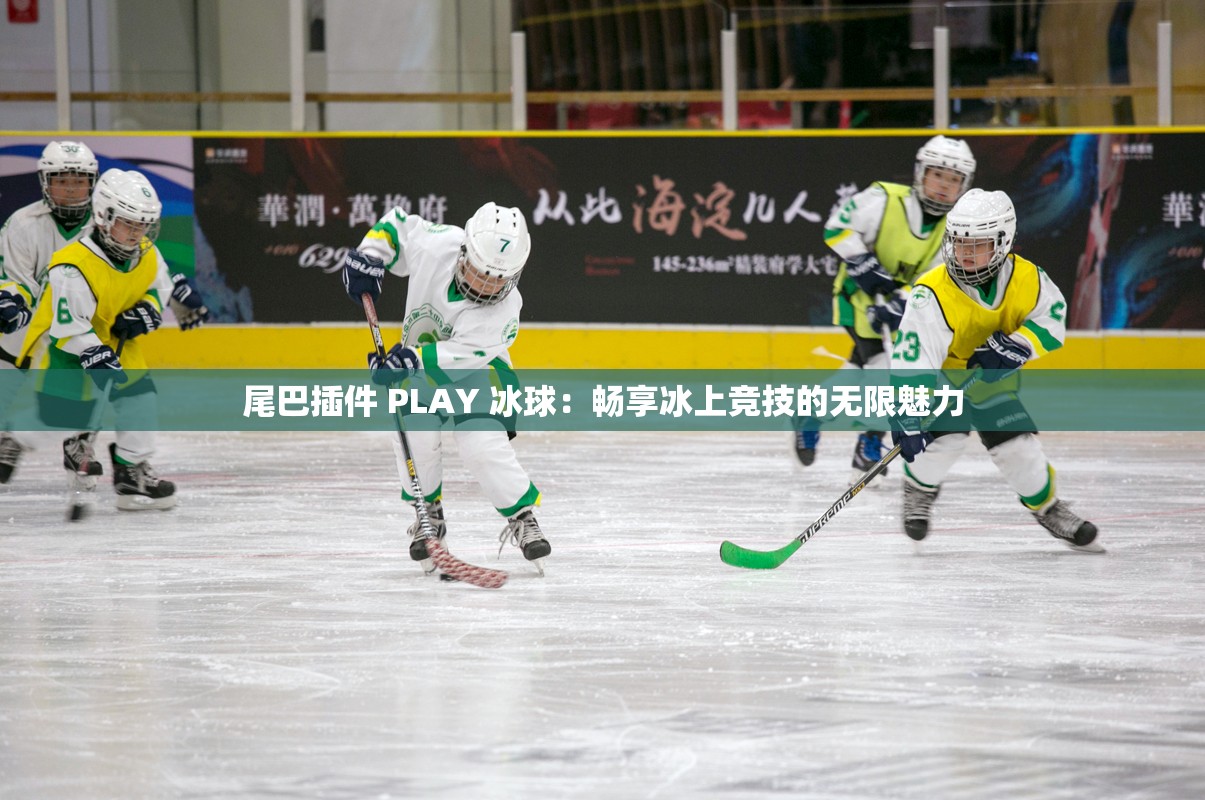 尾巴插件 PLAY 冰球：畅享冰上竞技的无限魅力
