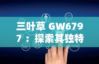 三叶草 GW6797 ：探索其独特性能与广泛应用领域