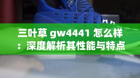三叶草 gw4441 怎么样：深度解析其性能与特点