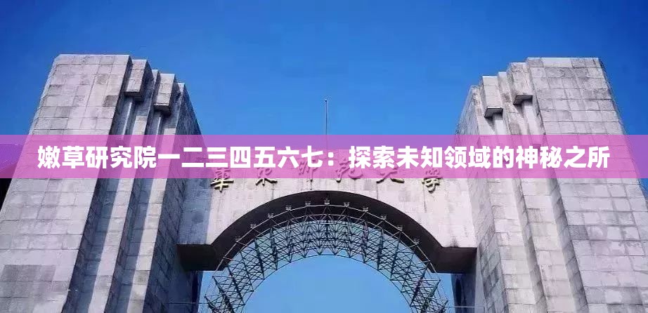 嫩草研究院一二三四五六七：探索未知领域的神秘之所