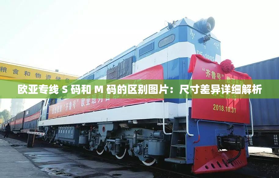 欧亚专线 S 码和 M 码的区别图片：尺寸差异详细解析