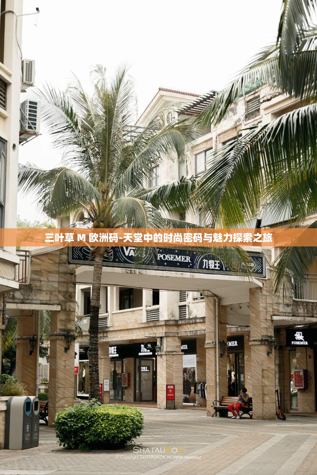 三叶草 M 欧洲码-天堂中的时尚密码与魅力探索之旅