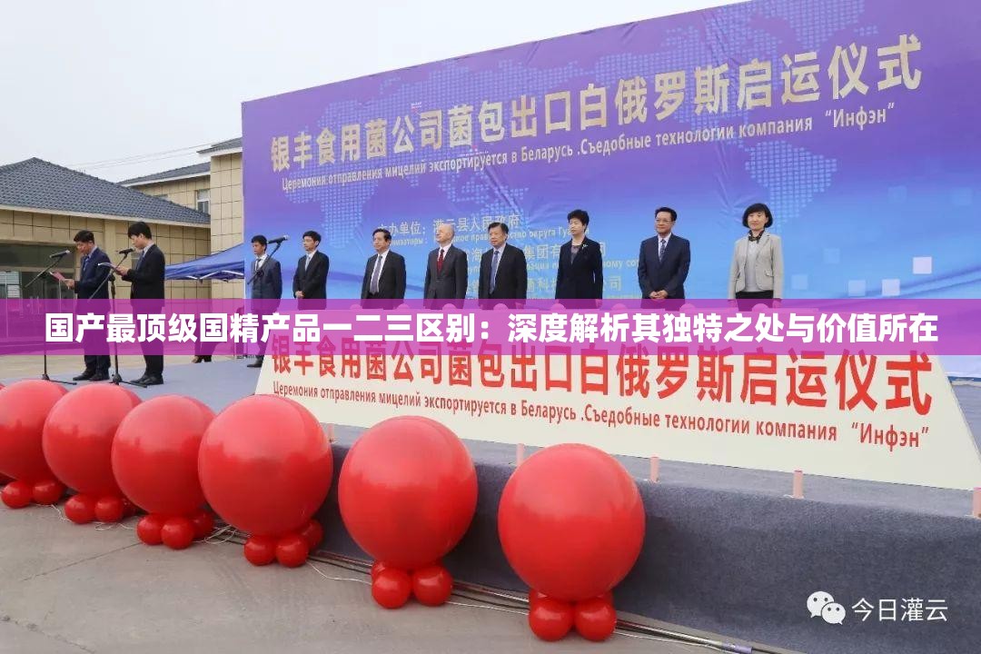 国产最顶级国精产品一二三区别：深度解析其独特之处与价值所在
