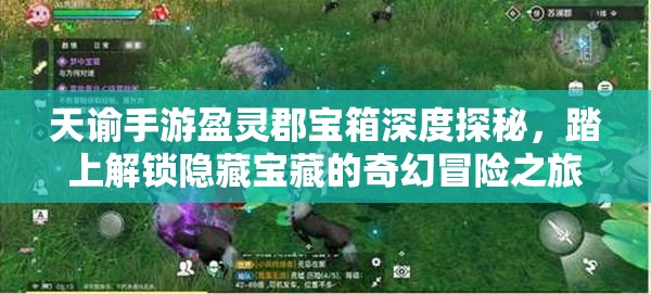 天谕手游盈灵郡宝箱深度探秘，踏上解锁隐藏宝藏的奇幻冒险之旅