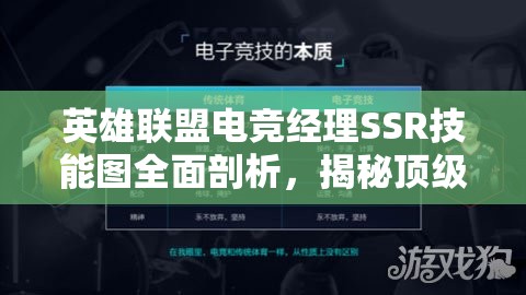 英雄联盟电竞经理SSR技能图全面剖析，揭秘顶级选手致胜策略与技巧