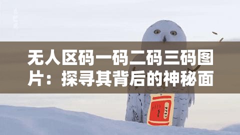 无人区码一码二码三码图片：探寻其背后的神秘面纱