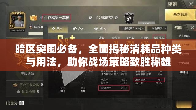 暗区突围必备，全面揭秘消耗品种类与用法，助你战场策略致胜称雄