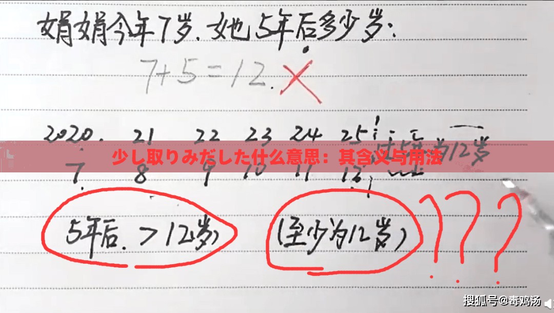 少し取りみだした什么意思：其含义与用法