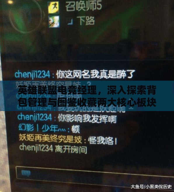 英雄联盟电竞经理，深入探索背包管理与图鉴收藏两大核心板块