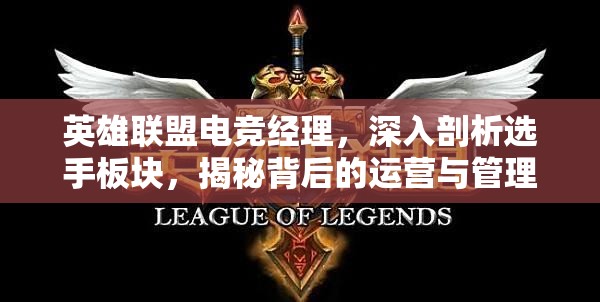 英雄联盟电竞经理，深入剖析选手板块，揭秘背后的运营与管理细节