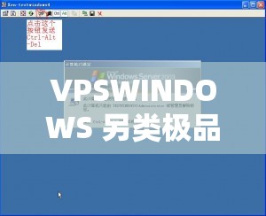 VPSWINDOWS 另类极品有超多线路可选：带来独特体验