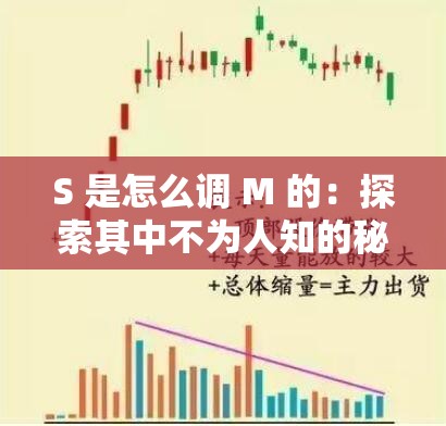 S 是怎么调 M 的：探索其中不为人知的秘密和技巧