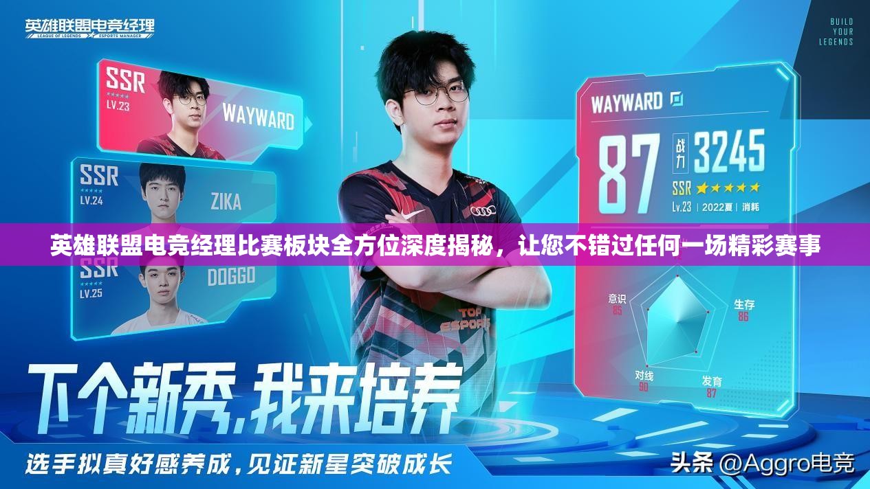 英雄联盟电竞经理比赛板块全方位深度揭秘，让您不错过任何一场精彩赛事