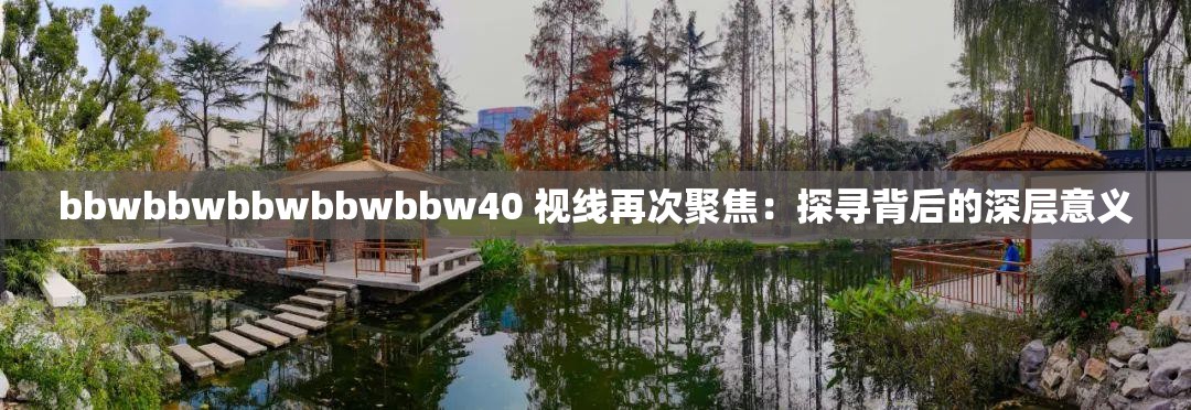 bbwbbwbbwbbwbbw40 视线再次聚焦：探寻背后的深层意义
