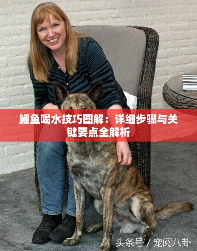 鲤鱼喝水技巧图解：详细步骤与关键要点全解析