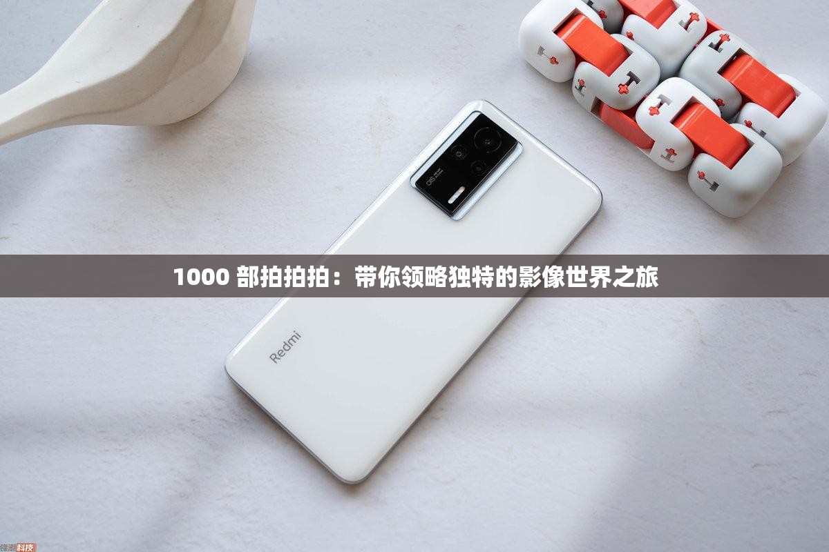 1000 部拍拍拍：带你领略独特的影像世界之旅