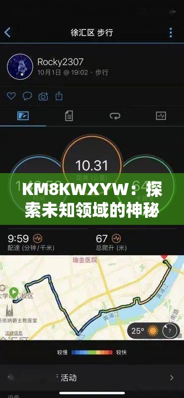 KM8KWXYW：探索未知领域的神秘密码与独特标识