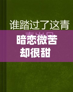 暗恋微苦却很甜 1v1 故事：青春岁月里的隐秘心事与甜蜜期待