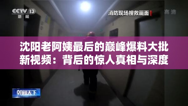 沈阳老阿姨最后的巅峰爆料大批新视频：背后的惊人真相与深度剖析