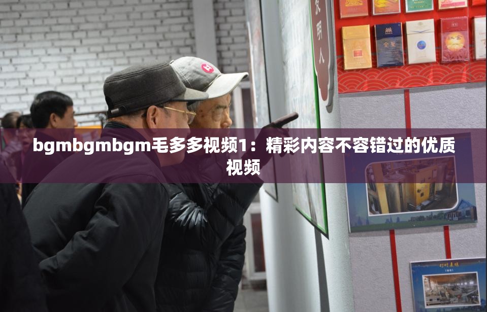 bgmbgmbgm毛多多视频1：精彩内容不容错过的优质视频