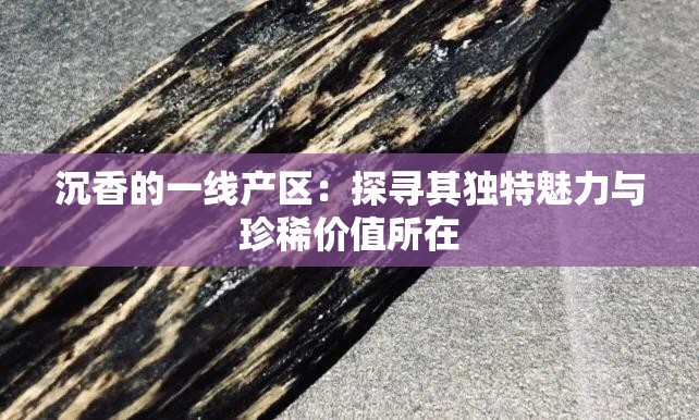 沉香的一线产区：探寻其独特魅力与珍稀价值所在
