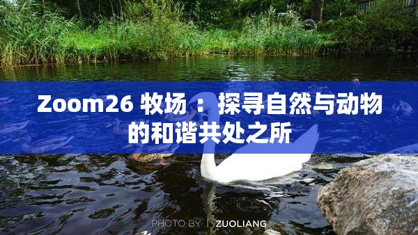 Zoom26 牧场 ：探寻自然与动物的和谐共处之所