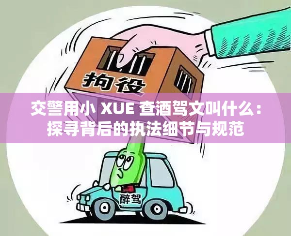 交警用小 XUE 查酒驾文叫什么：探寻背后的执法细节与规范