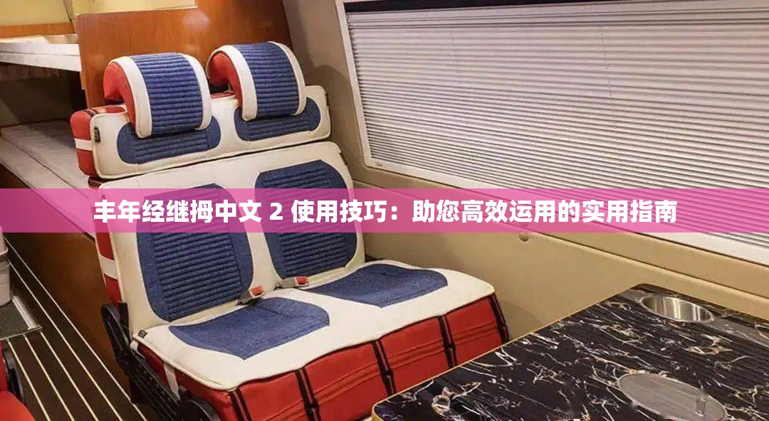 丰年经继拇中文 2 使用技巧：助您高效运用的实用指南