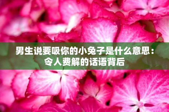 男生说要吸你的小兔子是什么意思：令人费解的话语背后