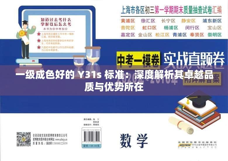 一级成色好的 Y31s 标准：深度解析其卓越品质与优势所在