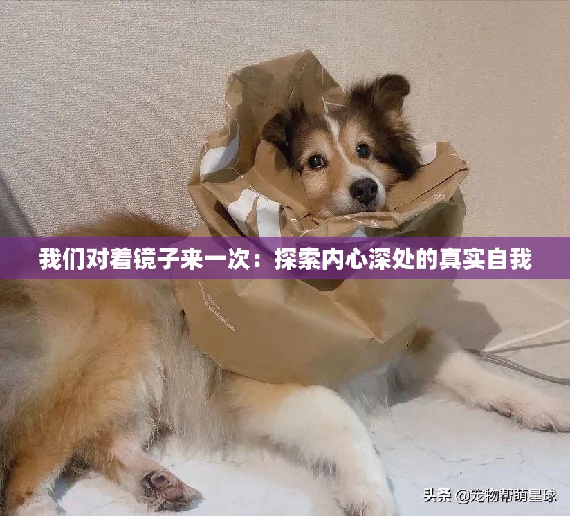 我们对着镜子来一次：探索内心深处的真实自我