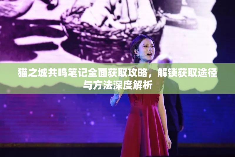 猫之城共鸣笔记全面获取攻略，解锁获取途径与方法深度解析