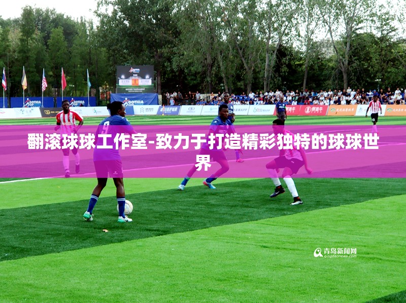 翻滚球球工作室-致力于打造精彩独特的球球世界
