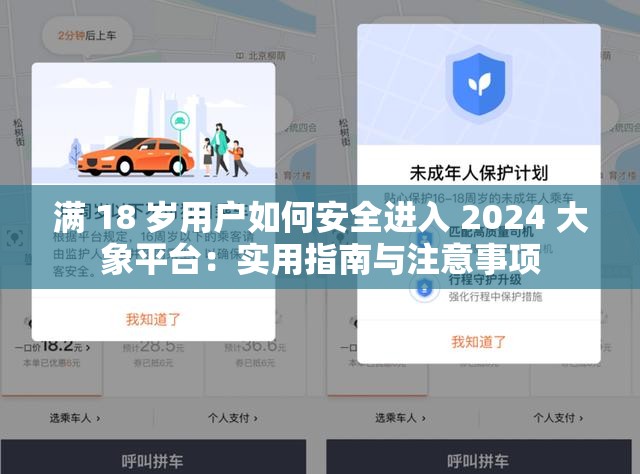 满 18 岁用户如何安全进入 2024 大象平台：实用指南与注意事项