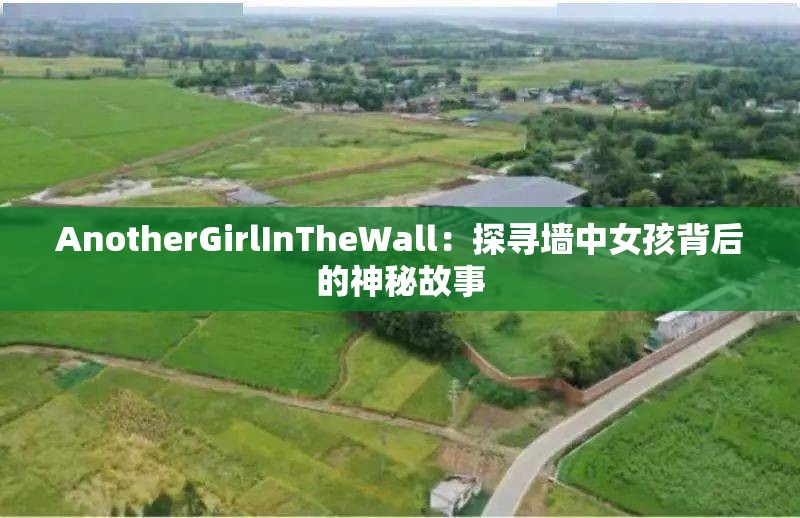 AnotherGirlInTheWall：探寻墙中女孩背后的神秘故事