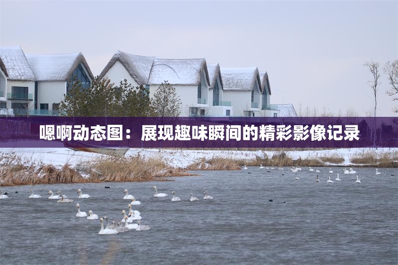 嗯啊动态图：展现趣味瞬间的精彩影像记录