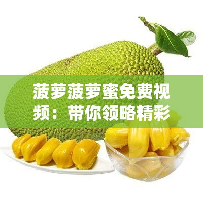 菠萝菠萝蜜免费视频：带你领略精彩绝伦的视觉盛宴