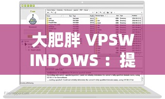 大肥胖 VPSWINDOWS ：提供稳定高效的服务体验