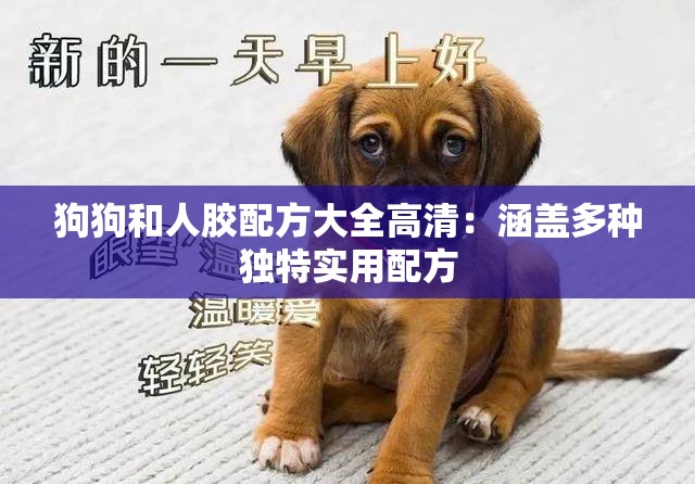 狗狗和人胶配方大全高清：涵盖多种独特实用配方