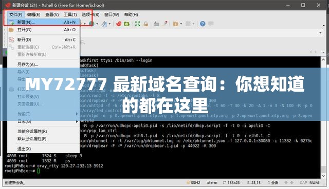 MY72777 最新域名查询：你想知道的都在这里