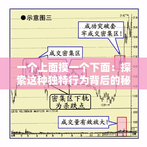 一个上面摸一个下面：探索这种独特行为背后的秘密